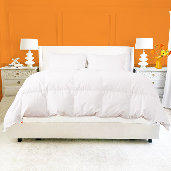 Canadian down and feather company white goose feather duvet Outlet
